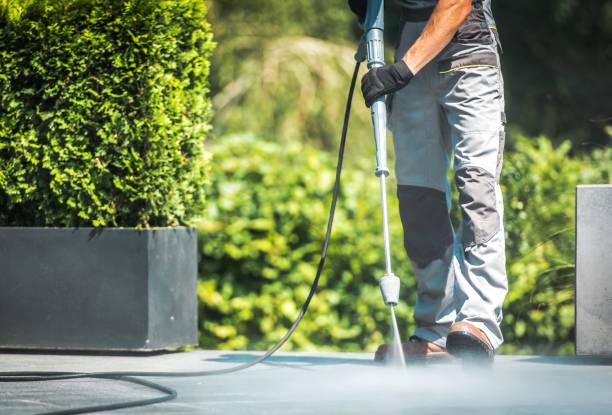 Best Driveway Cleaning and Restoration in Ruidoso Downs, NM